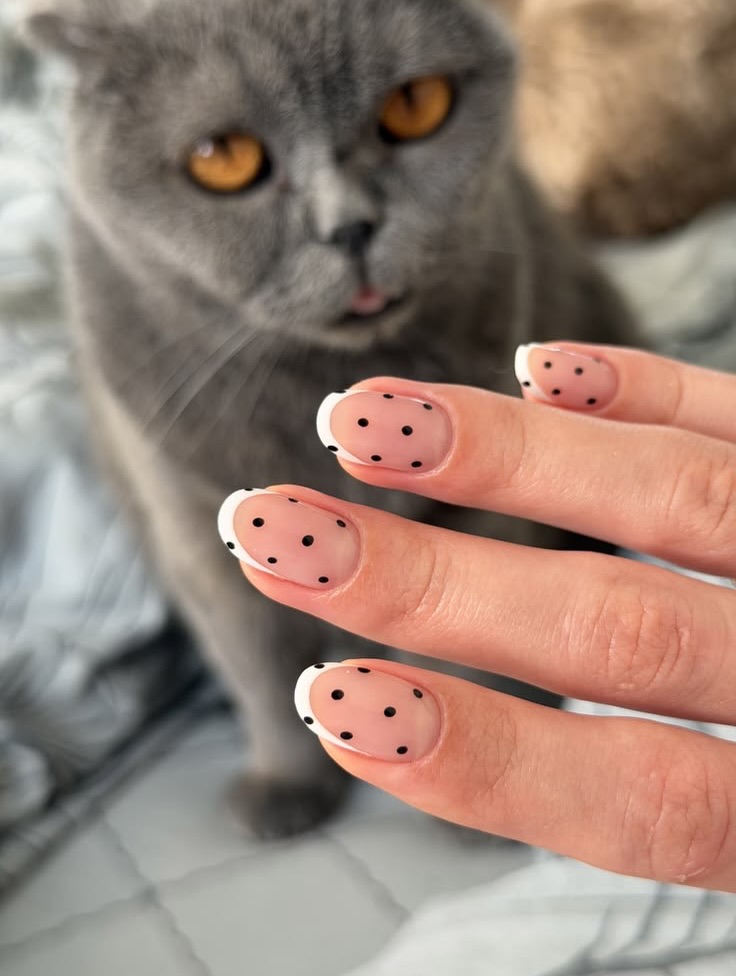 Classic White French Polka Dot Oval Nails