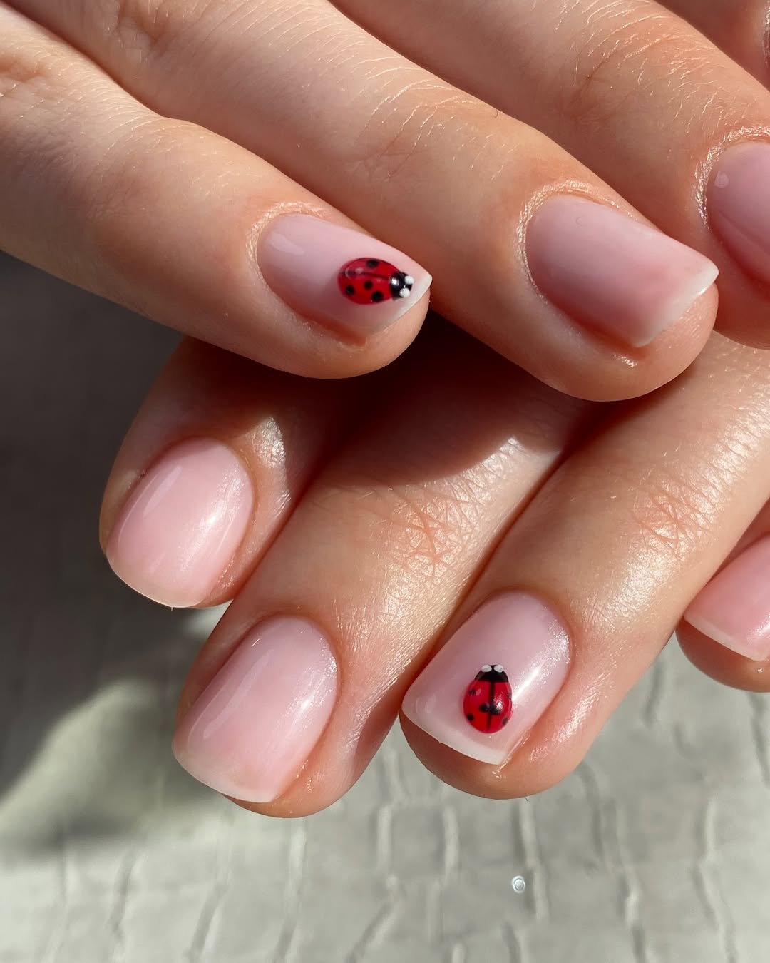 Cute Ladybug Accent Short Square Nails