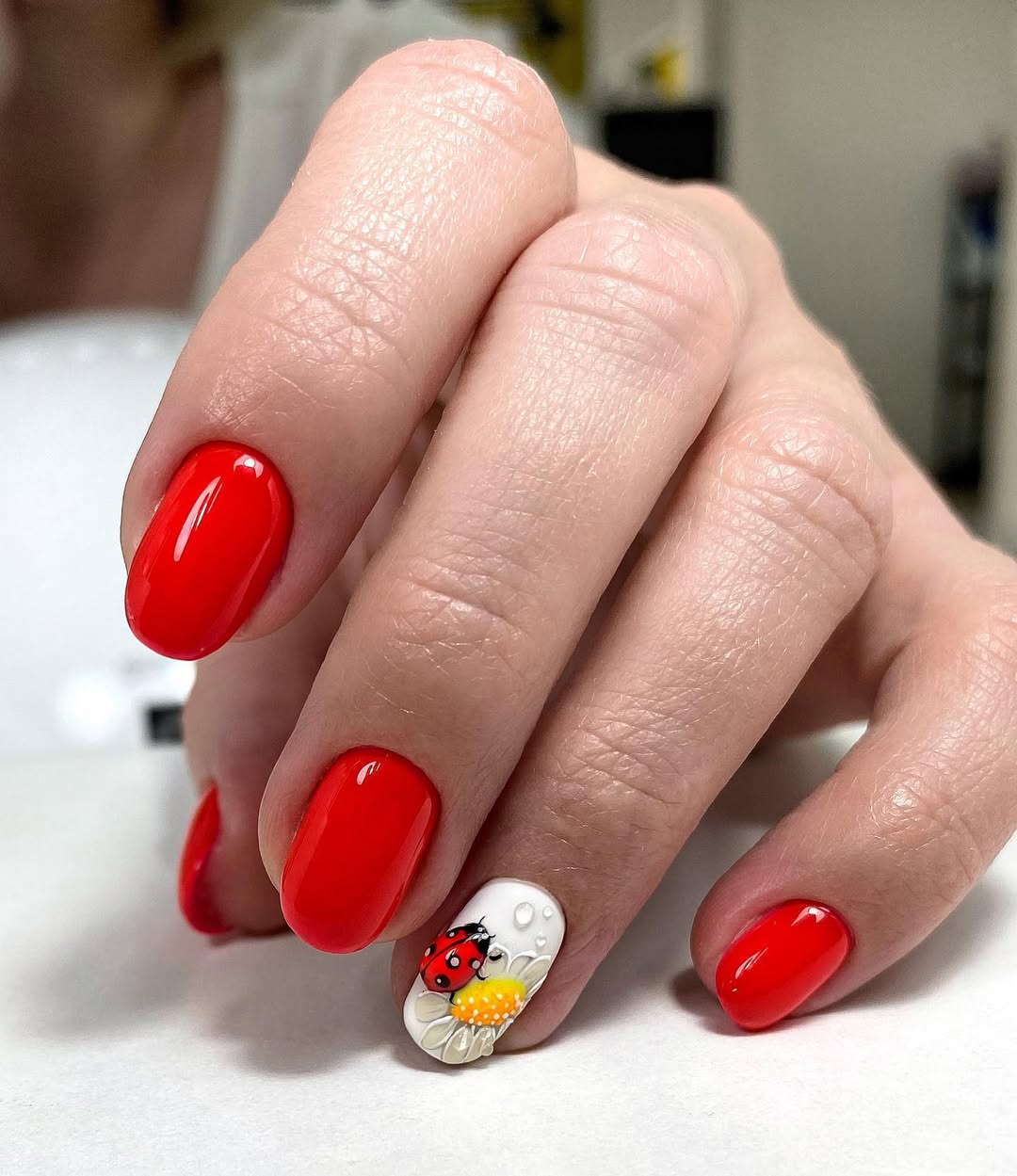 Ladybug and Daisy Charm French Tips