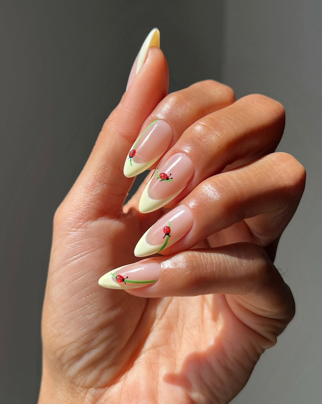 Ladybug French Tips With Yellow Accents