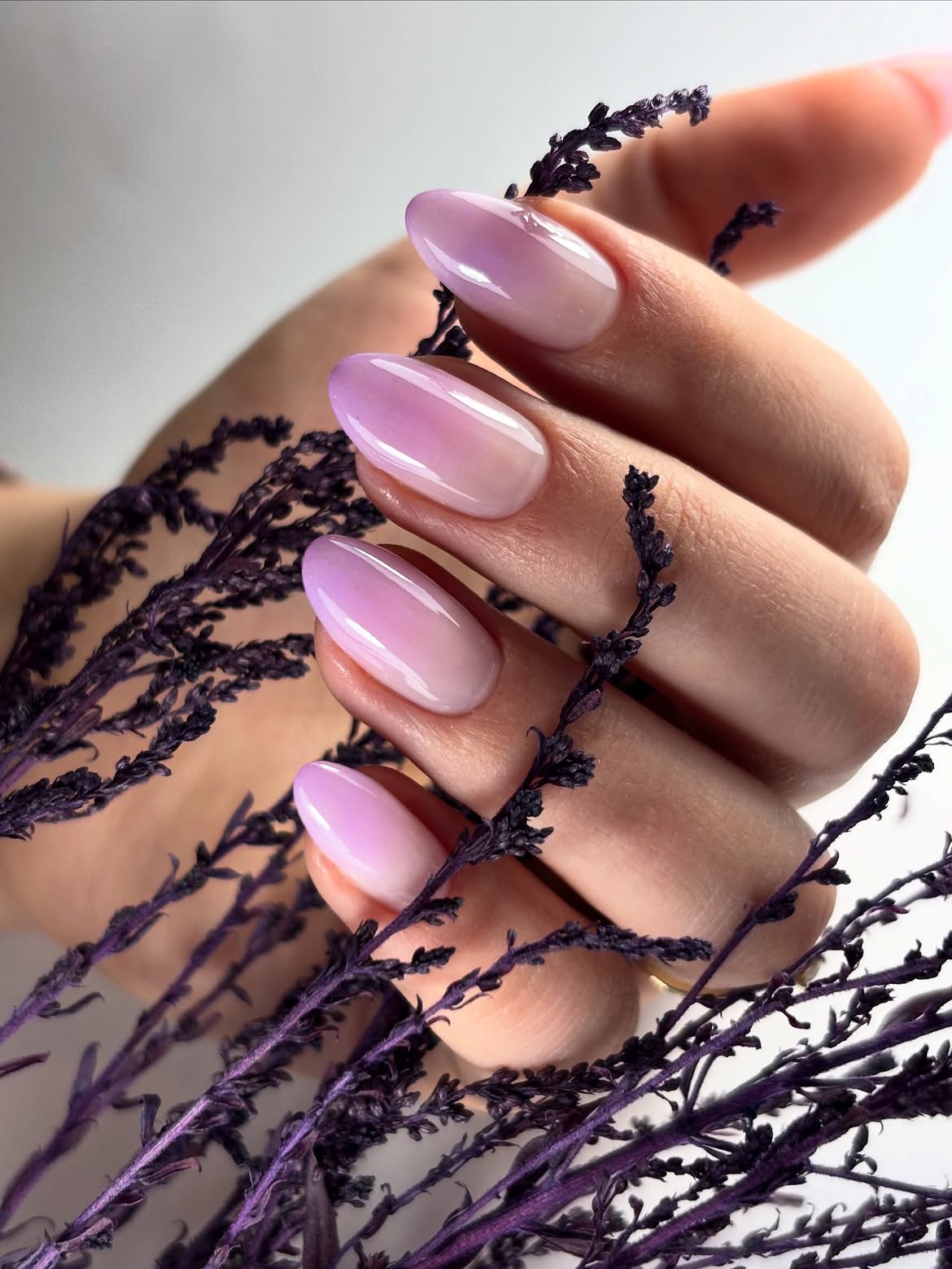 Lavender Purple Ombre Oval Glossy Nails