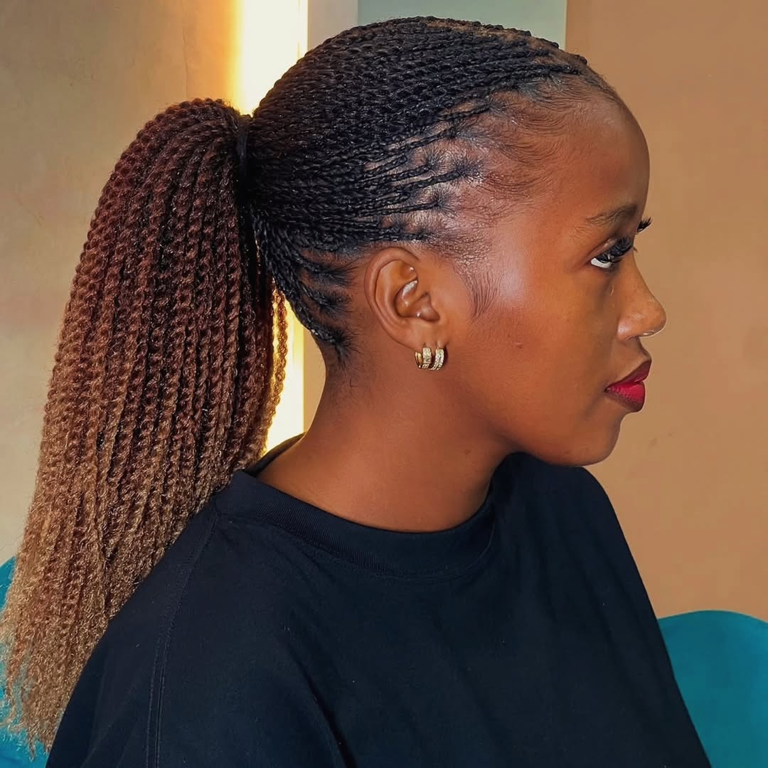 Ombre Braided Ponytail With Sleek Edges