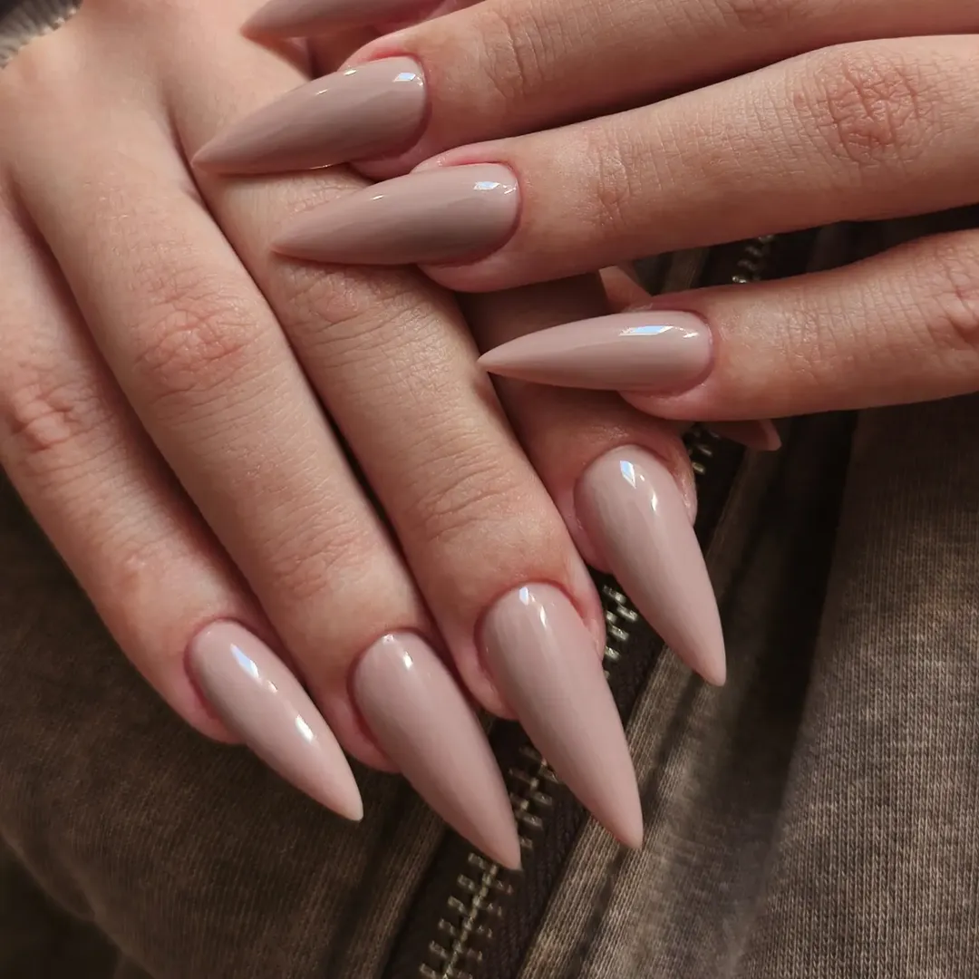 Taupe Neutral High Gloss Stiletto Nails