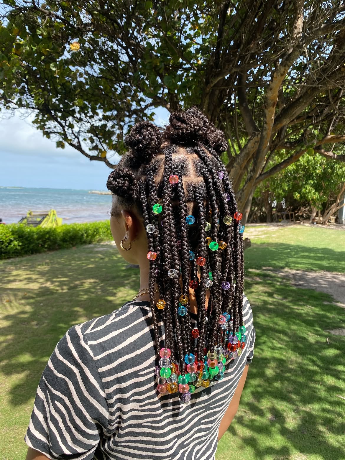 Box Braids With Colorful Beads, Top Buns