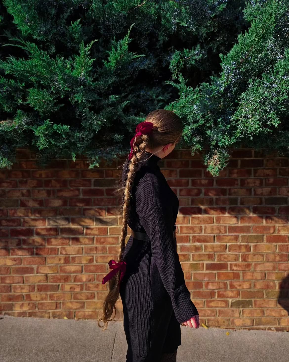 Chic Braided Ponytail With Velvet Bows