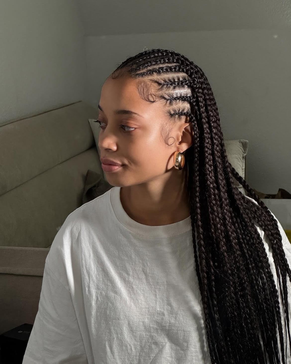 Chic Fulani Braids With Defined Baby Hair