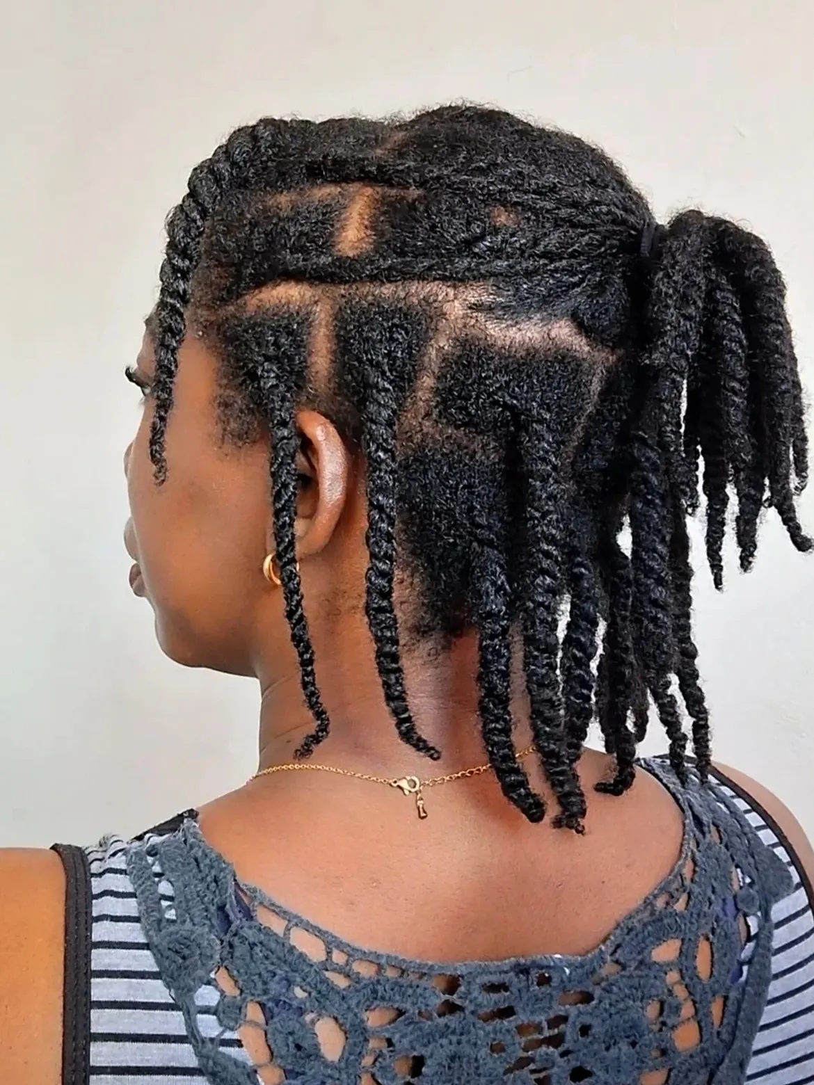 Chic Two-Strand Twists Into Low Ponytail