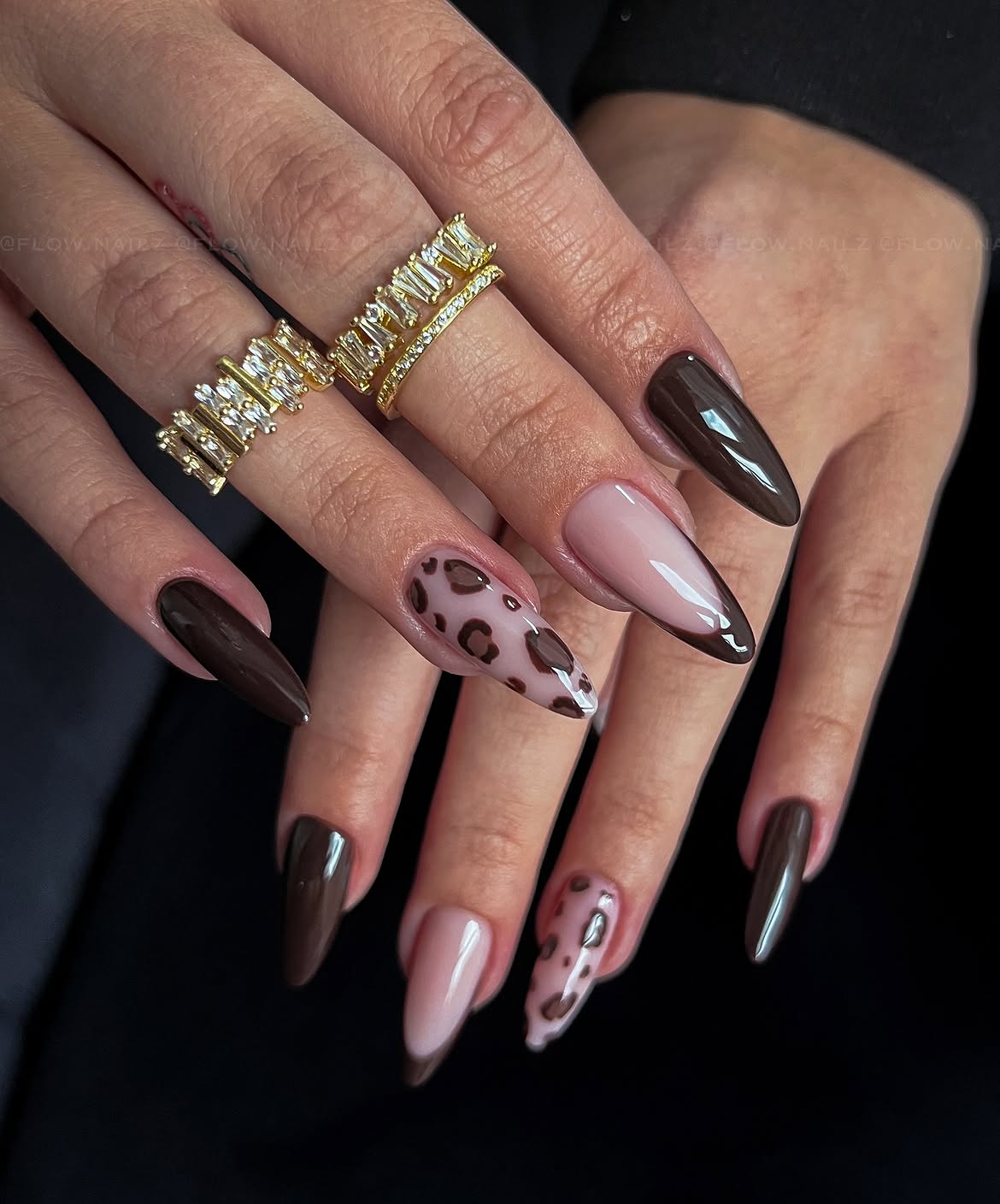 Chocolate Ombre French With Leopard Accents