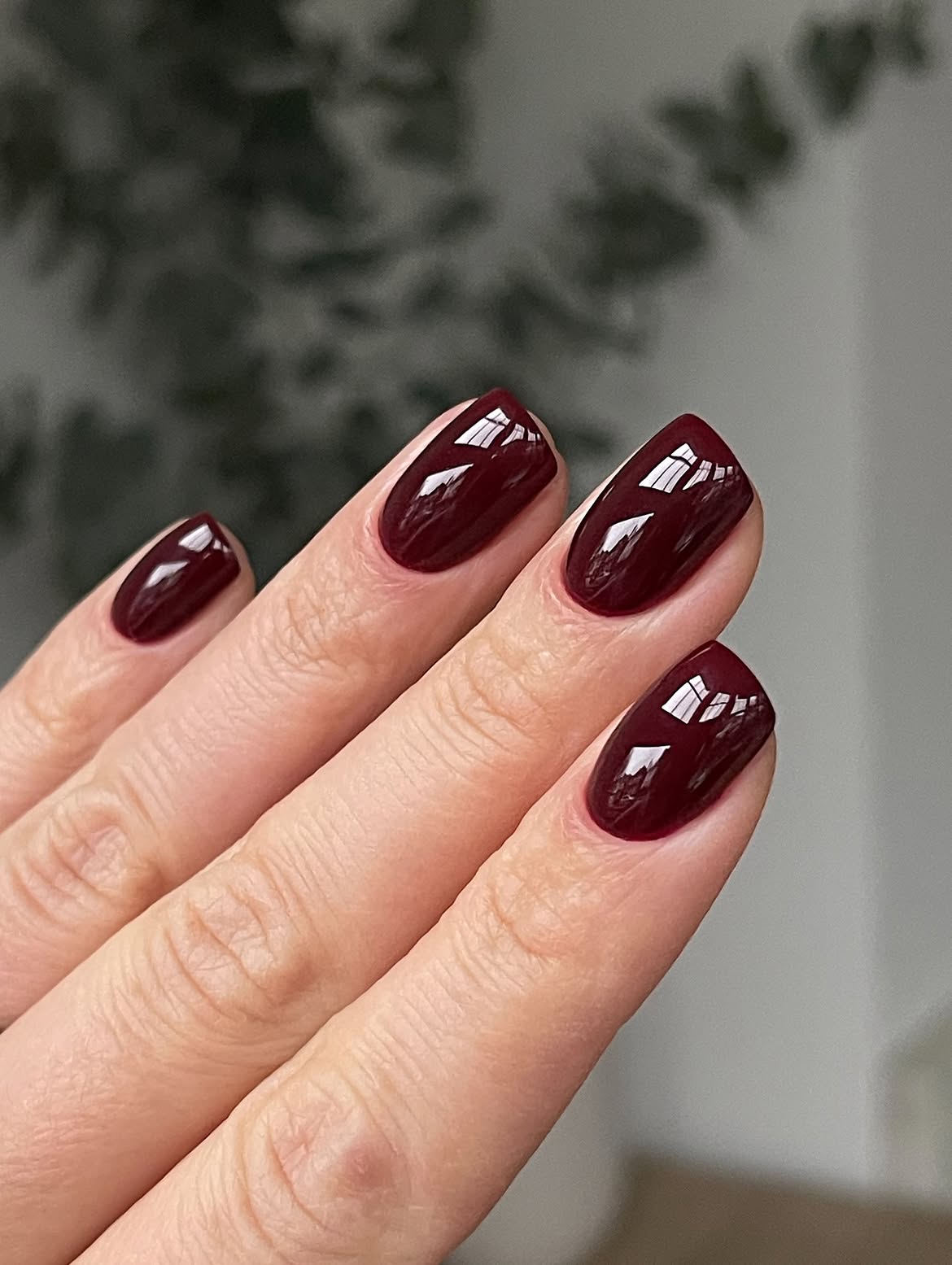 Deep Burgundy High Gloss Almond Nails