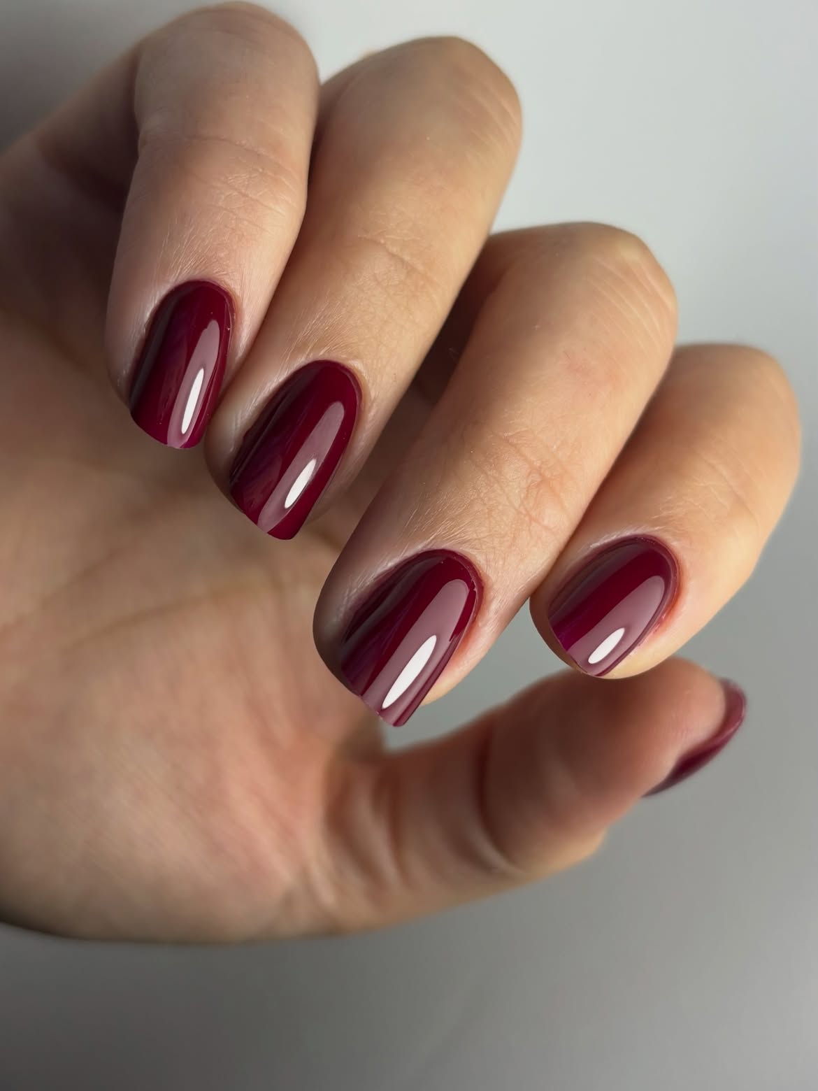 Deep Burgundy High Gloss Squoval Nails