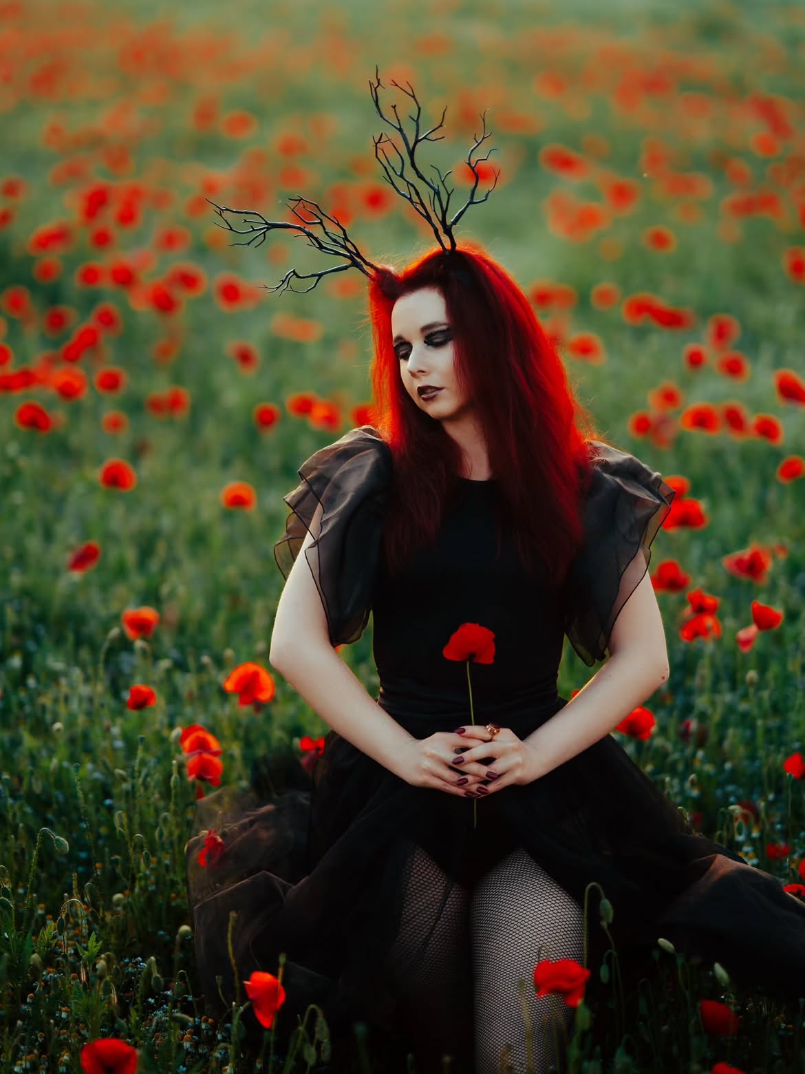 Gothic Black Dress With Antler Crown In Poppy Field