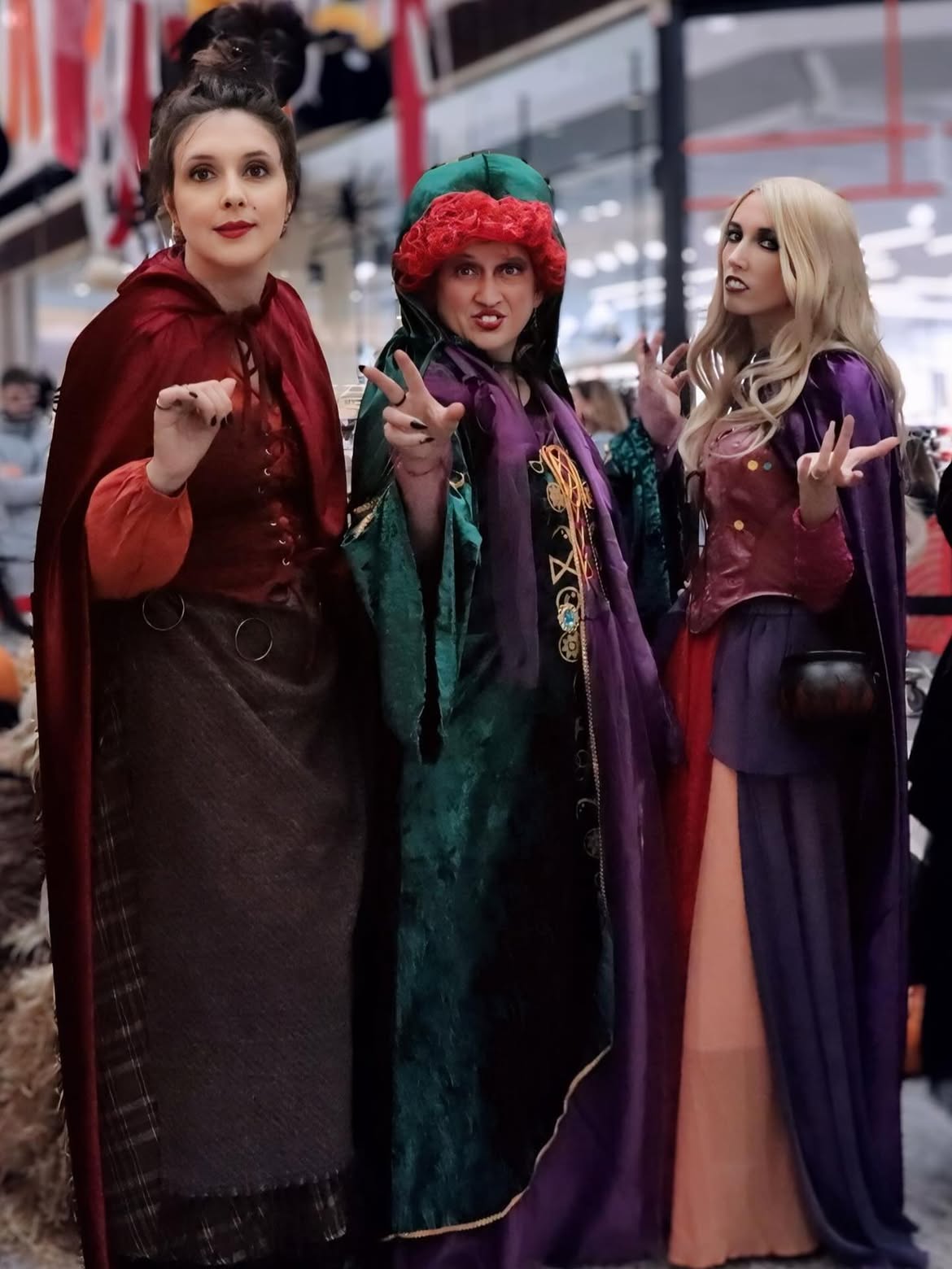 Hocus Pocus Sanderson Sisters Halloween Trio Costume