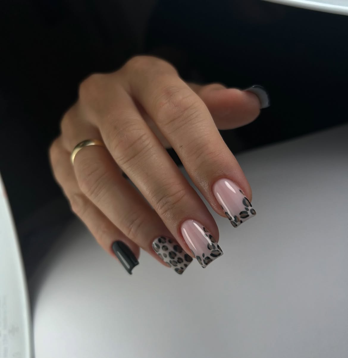 Modern Leopard French Tip with Matte Accent Nails