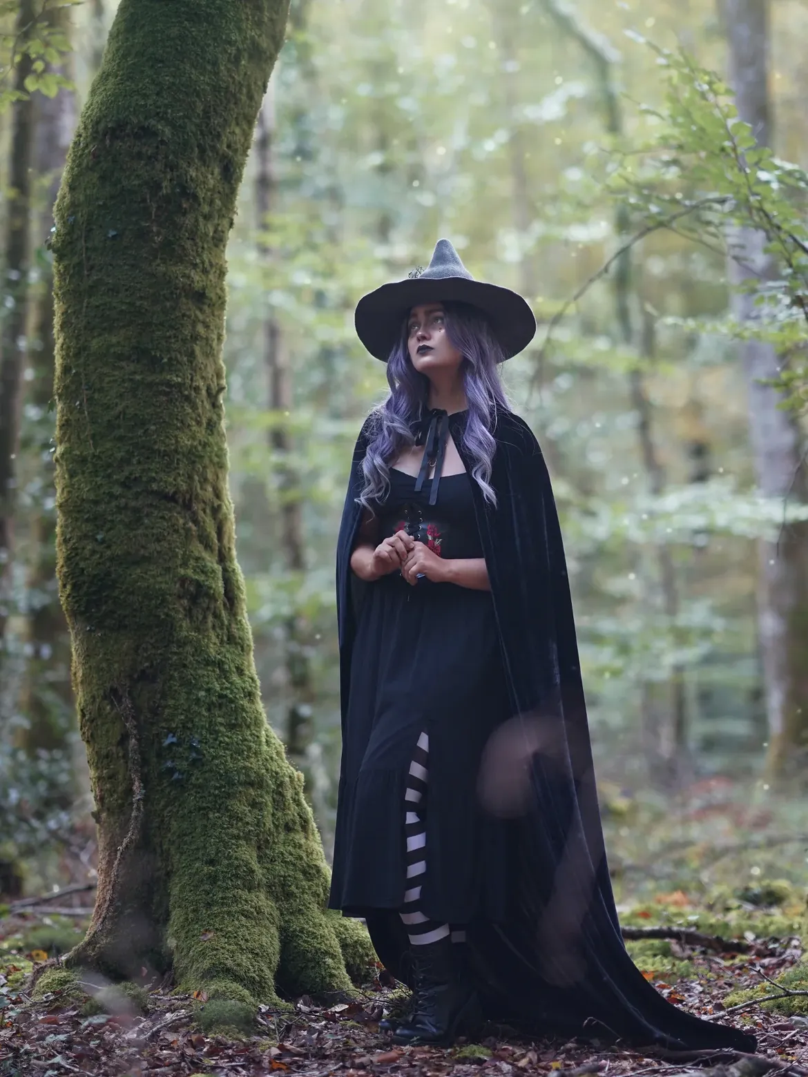 Mystic Velvet Cape and Corset Dress