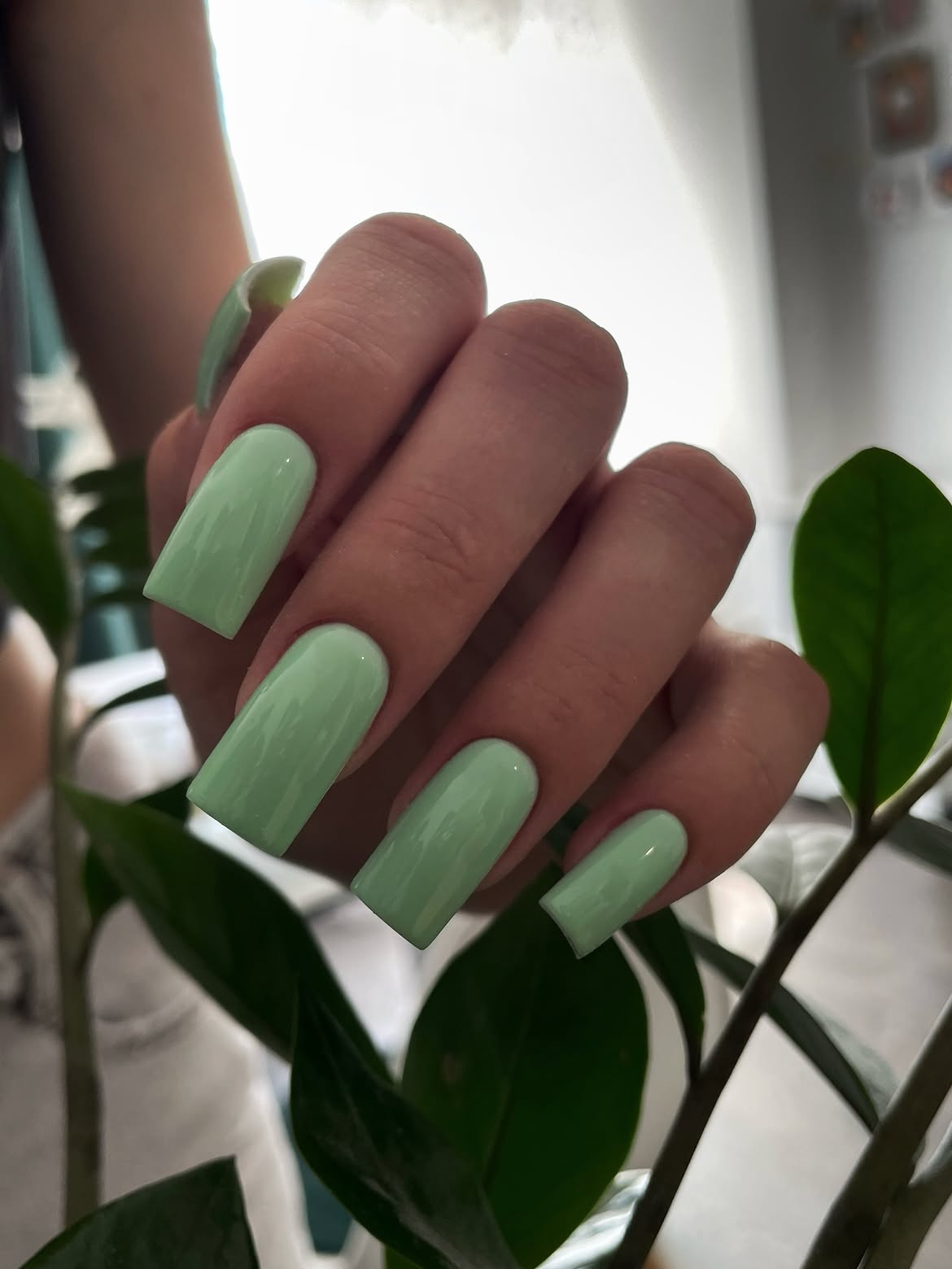 Pastel Sage Green Glossy Square Nails