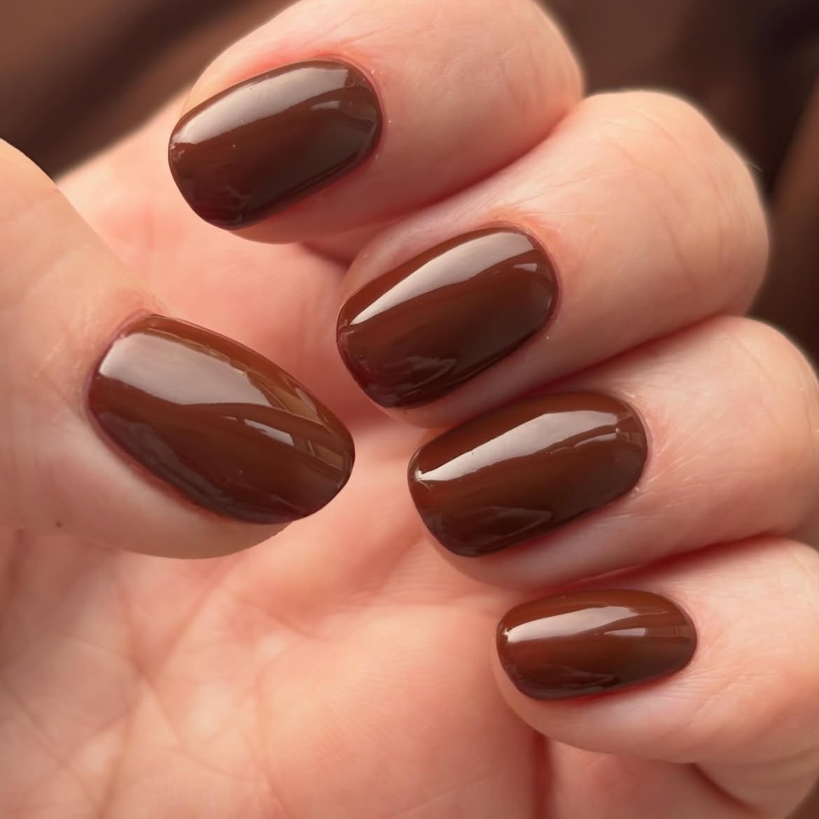 Rich Chocolate Brown Glossy Oval Nails