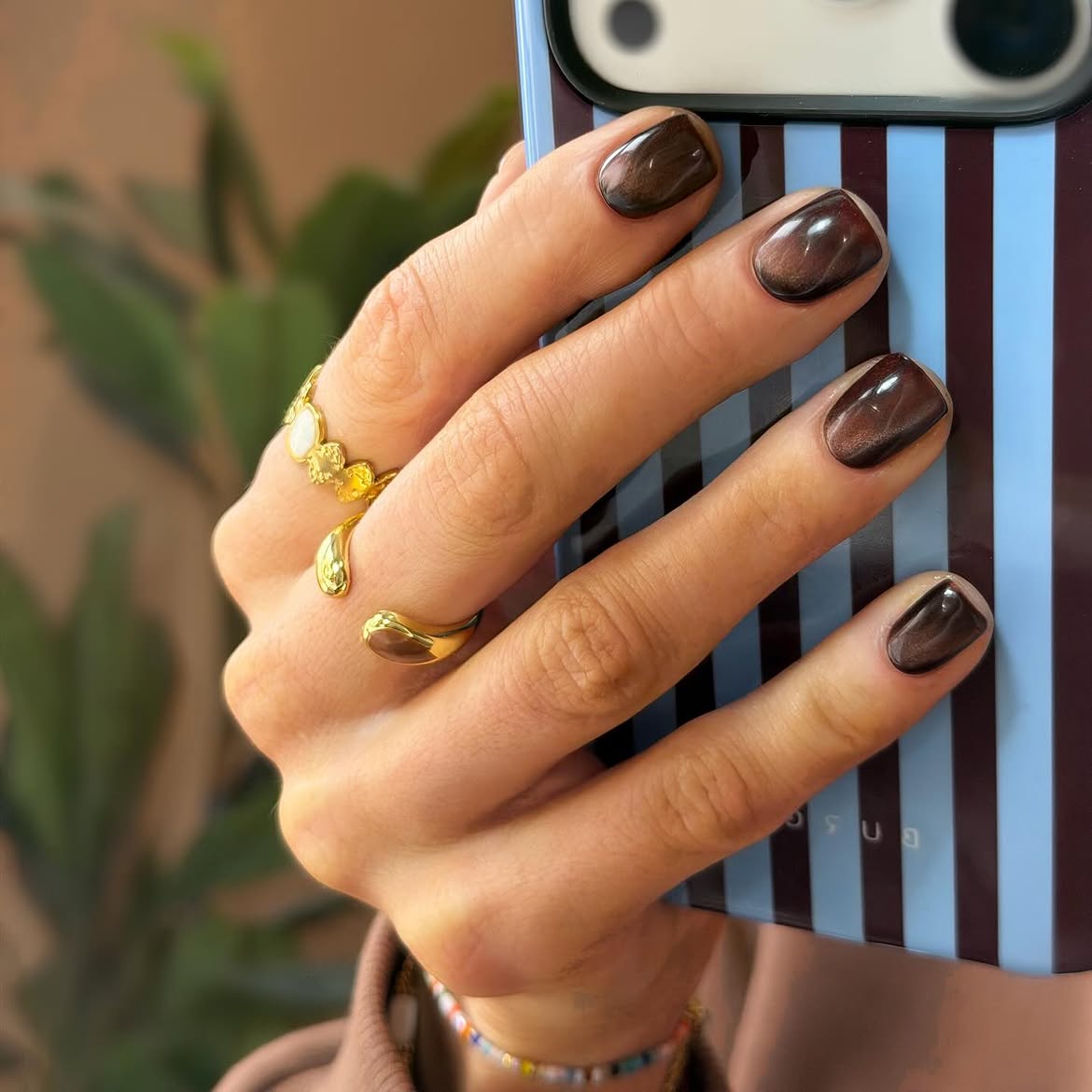 Rich Espresso Brown Cat Eye Nails
