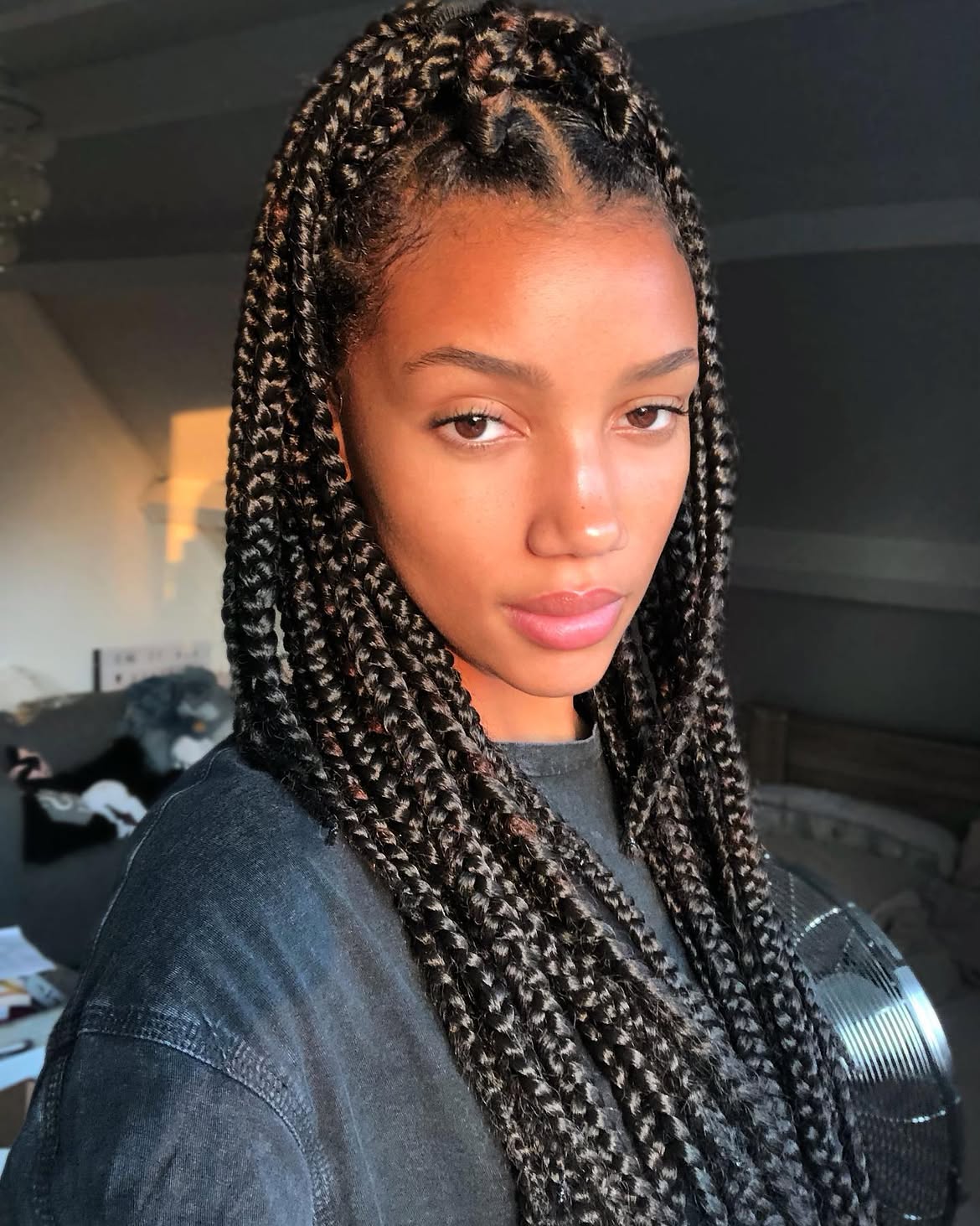 Chic Mixed-Texture Box Braids With Defined Parts