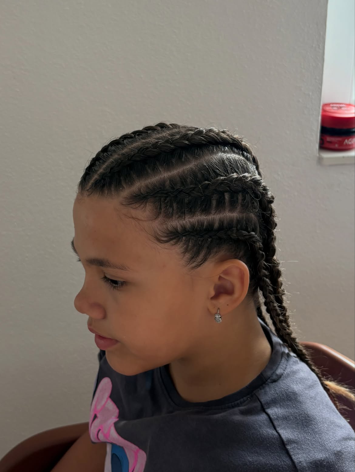 Classic Double Dutch Braids With Sleek Parts