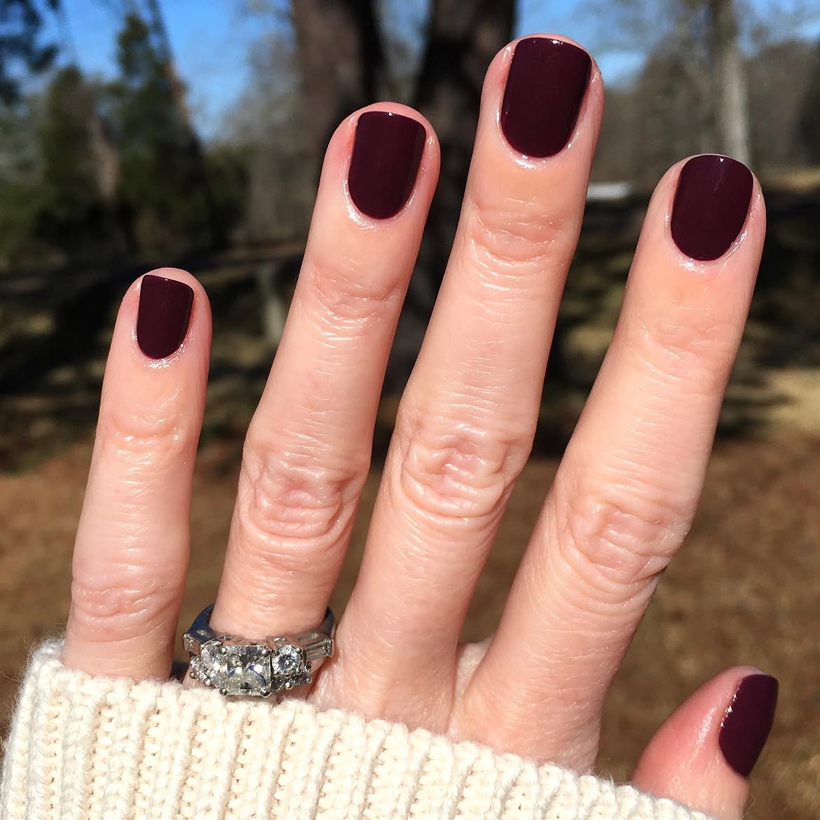 Deep Plum High Gloss Short Squoval Nails
