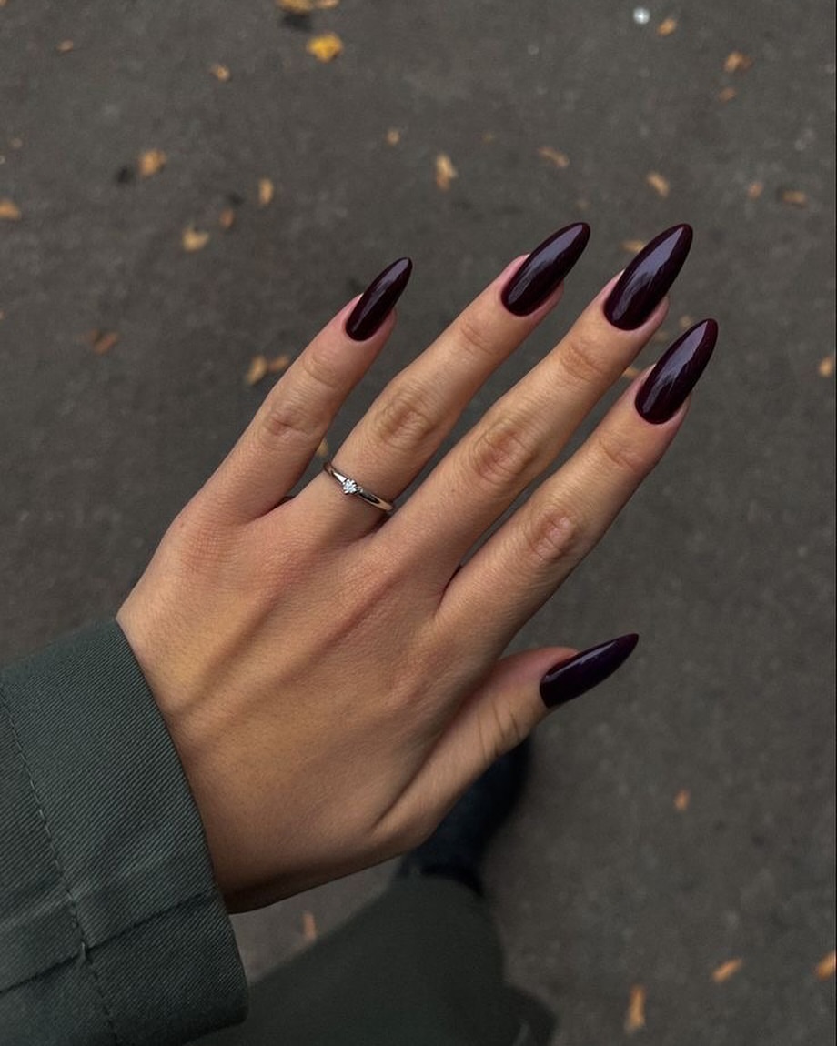 Glossy Deep Plum Stiletto Nails