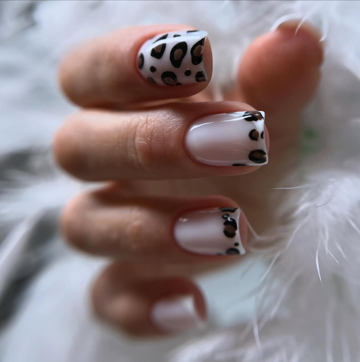 Leopard Print French Tip Square Nails