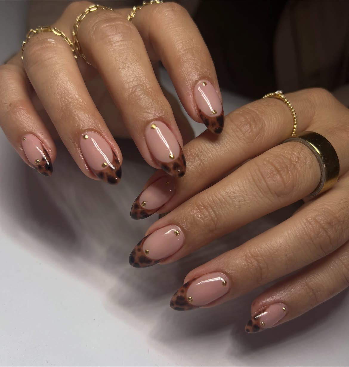Leopard Print French Tips With Gold Studs