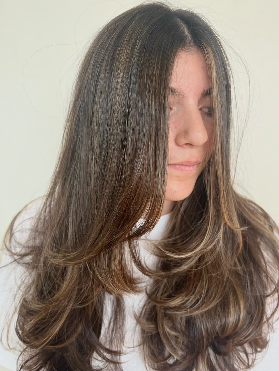 Long Layered Haircut With Subtle Caramel Highlights