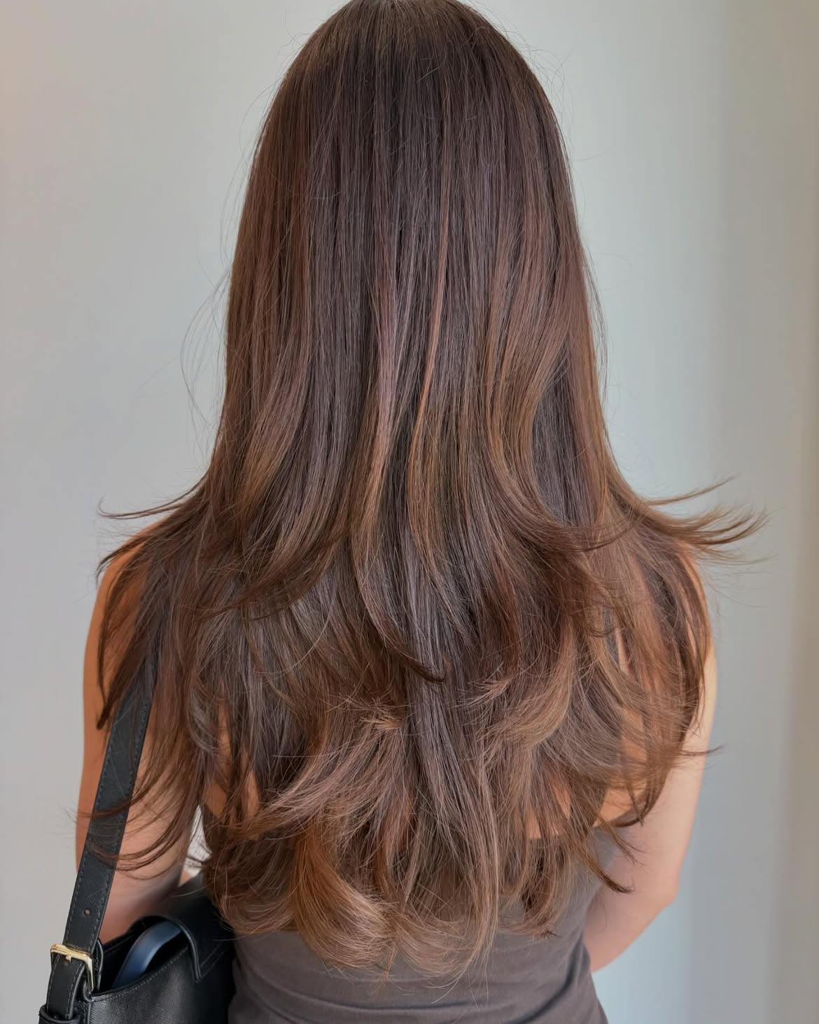 Long Soft Layers With Chocolate Brown Tones