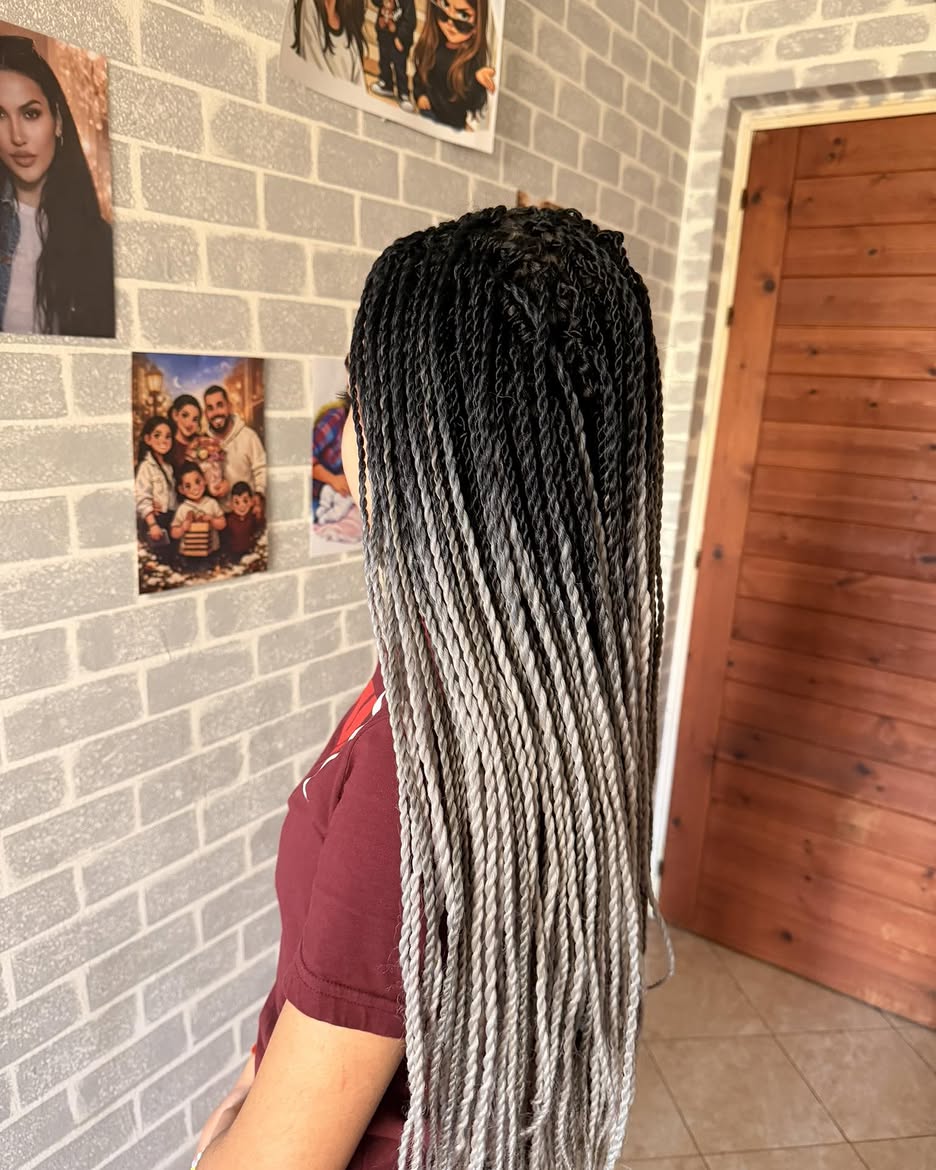 Ombre Twist Braids With Silver Gray Ends