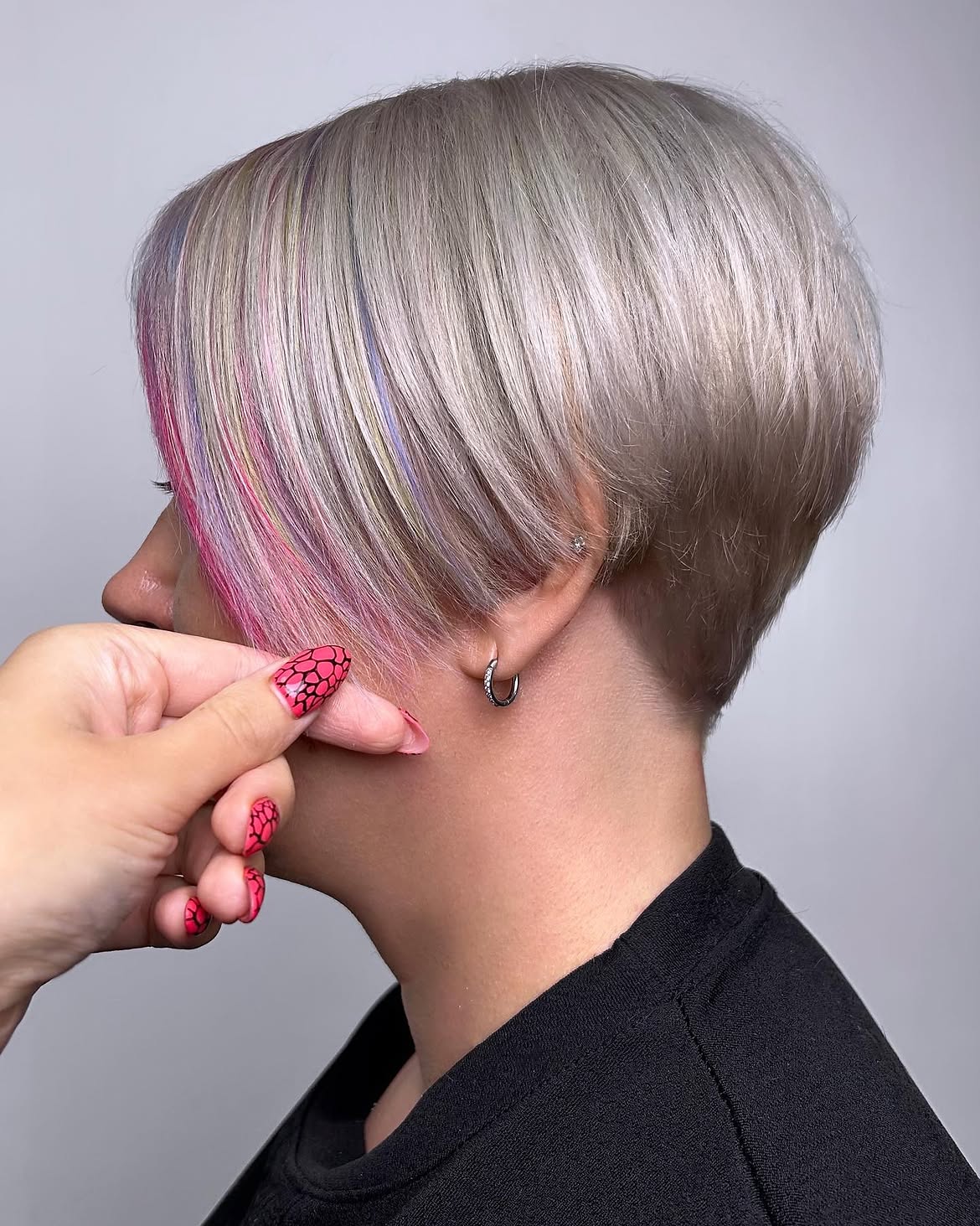 Pastel Pink And Silver Sleek Pixie Bob