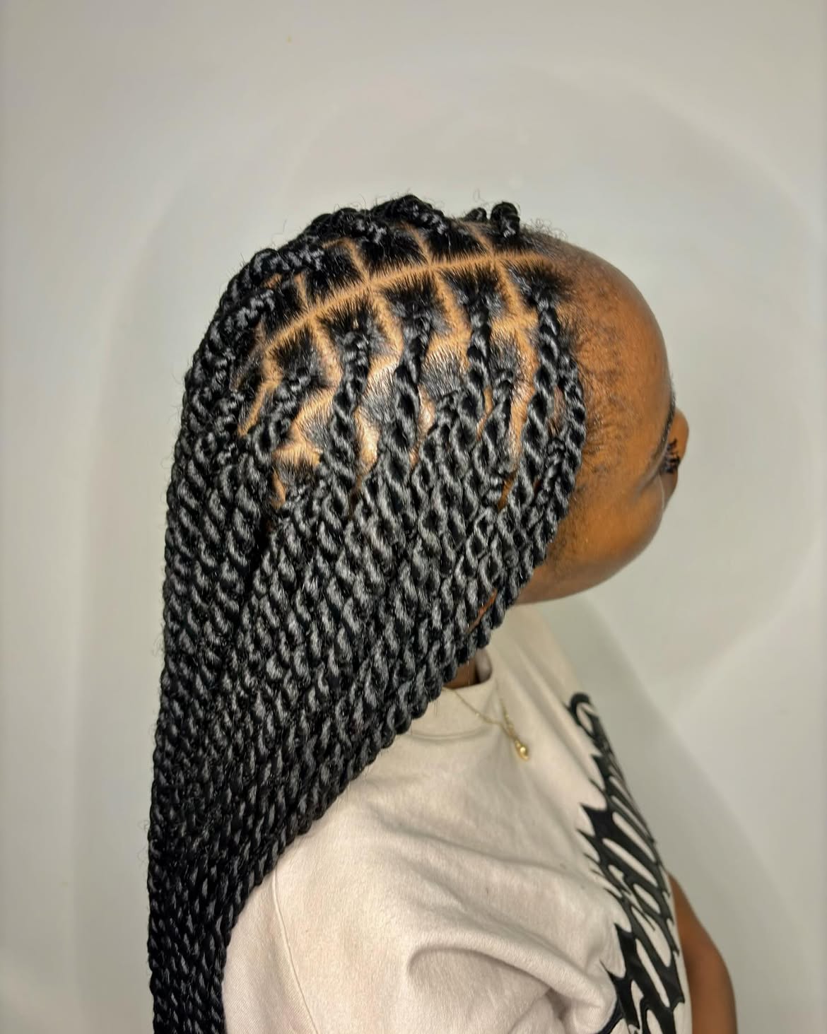 Precision Box Part Rope Twists On Jet Black Hair