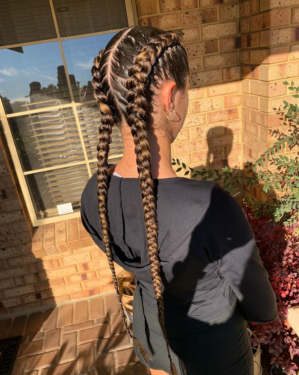 Sleek Dual Dutch Braids With Highlighted Dimension