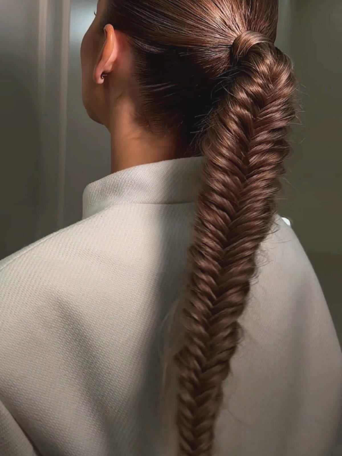 Sleek High Fishtail Braid With Glossy Finish