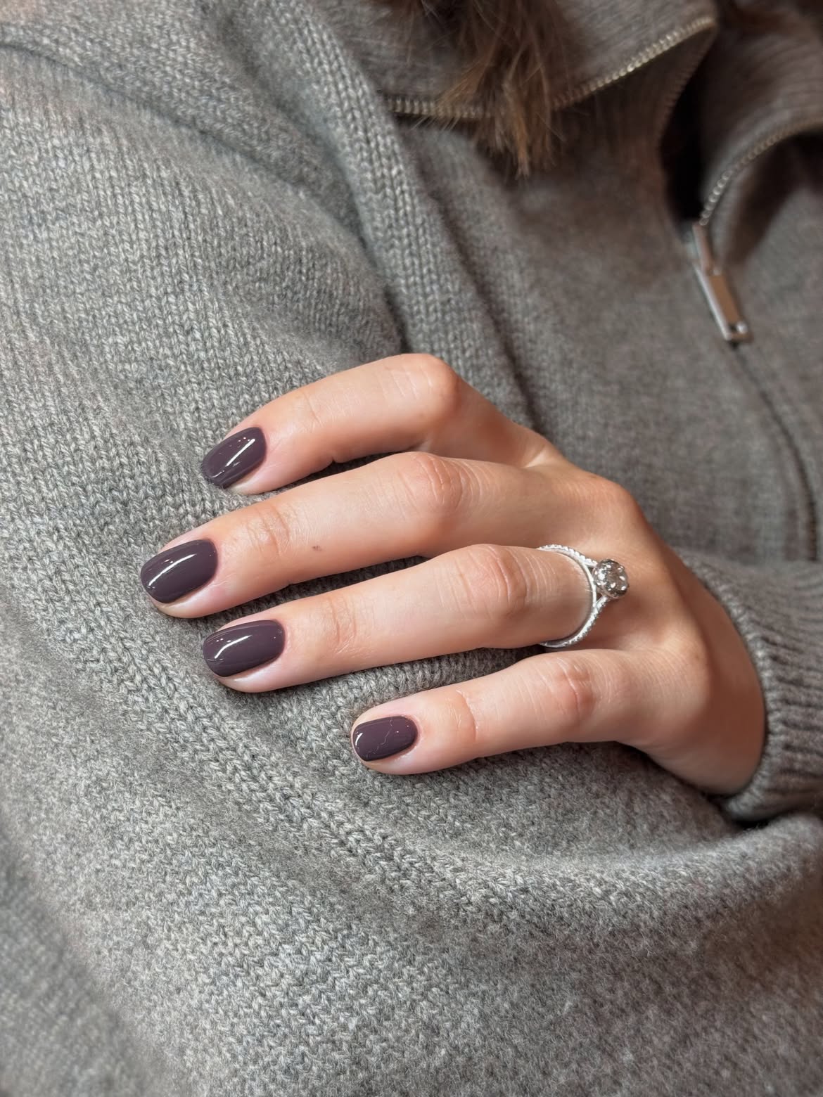Deep Plum High Gloss Oval Nails