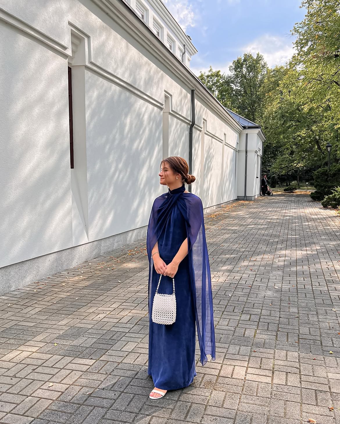 Elegant Navy Cape Gown With White Beaded Bag