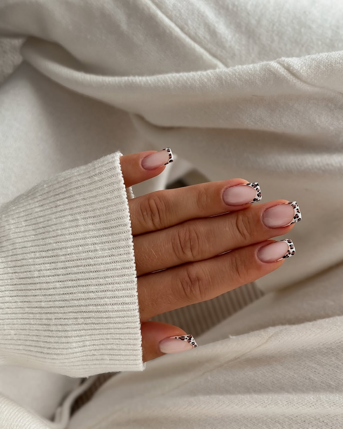 French Tips with a Wild Leopard Print Twist