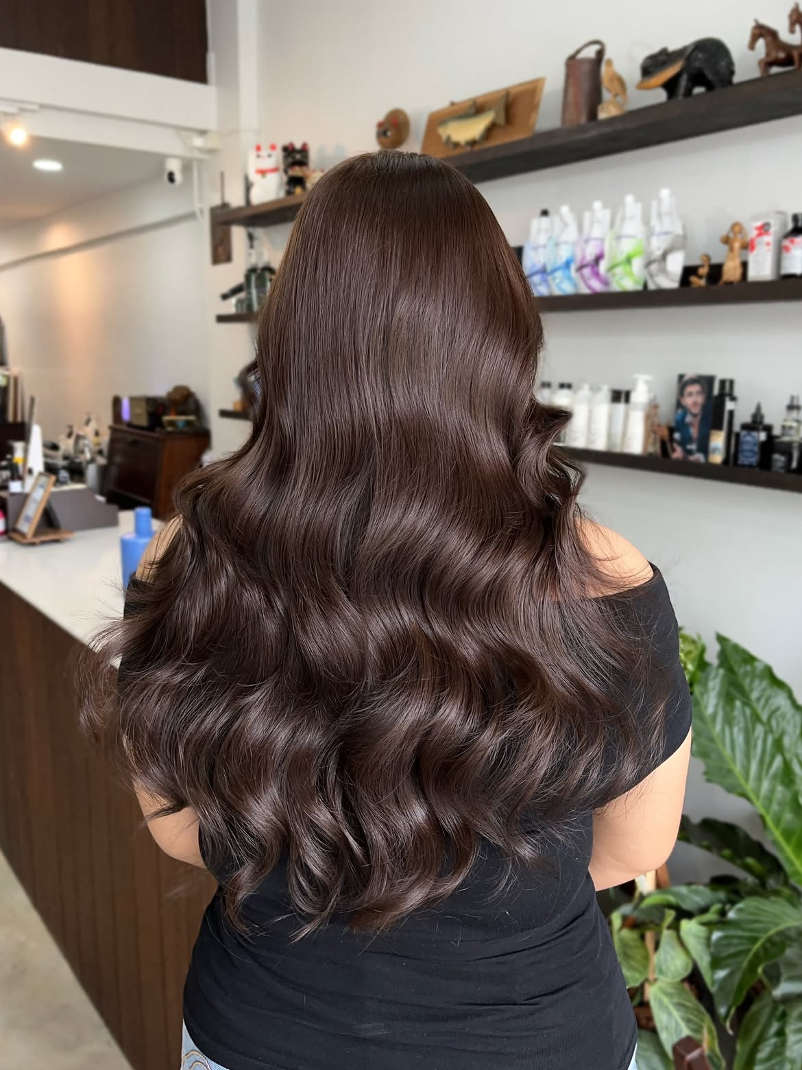 Luxurious Long Waves In Deep Chocolate Brown