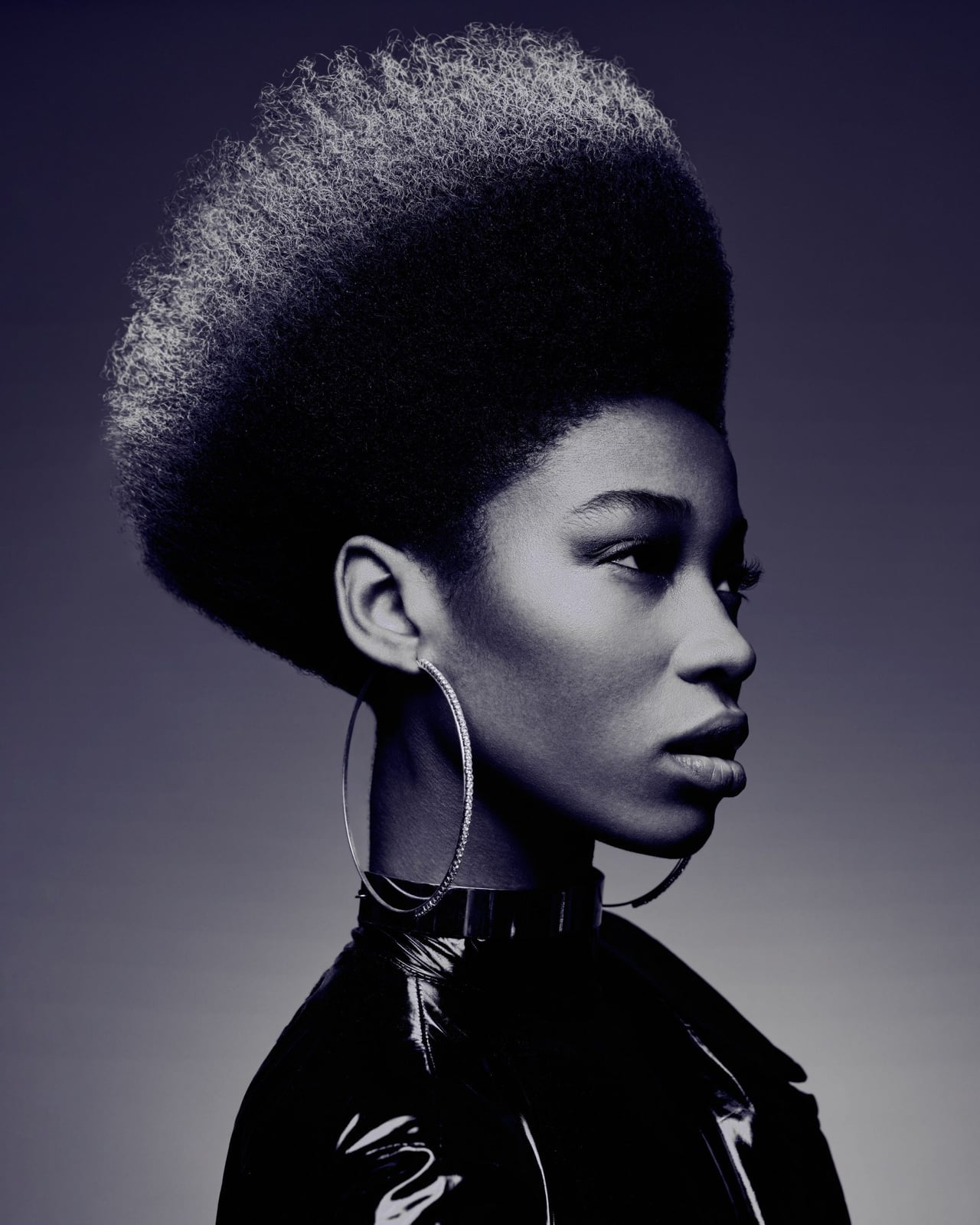 Sculpted Voluminous Afro Sculpted Voluminous Afro — Afro Hair