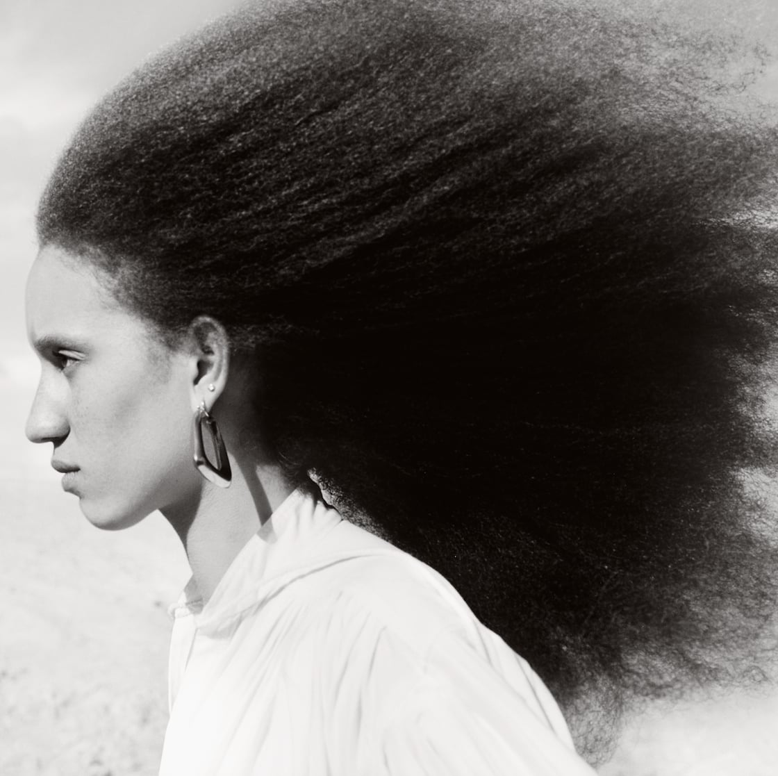Classic Short Air-Dried Afro Classic Short Air-Dried Afro — Afro Hair
