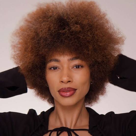 Medium Brown Blowout With Short Bangs Medium Brown Blowout With Short Bangs — Afro Hair