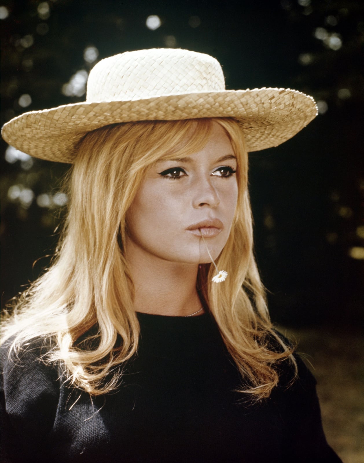 Shoulder Golden Blonde With Bardot Bangs Shoulder Golden Blonde With Bardot Bangs — Blonde Bangs