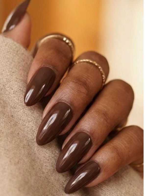 Medium Pointed Deep Rich Brown Glossy Nails Medium Pointed Deep Rich Brown Glossy Nails — Brown Nails