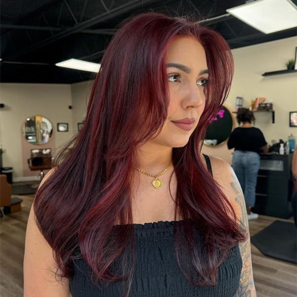 Collarbone Layers With Face Framing Burgundy Collarbone Layers With Face Framing Burgundy — Burgundy Highlights