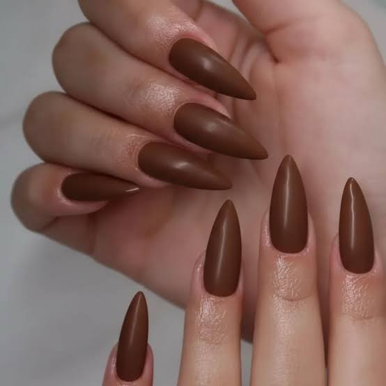 Long Matte Stiletto Chocolate Brown Nails Long Matte Stiletto Chocolate Brown Nails — Chocolate Nails