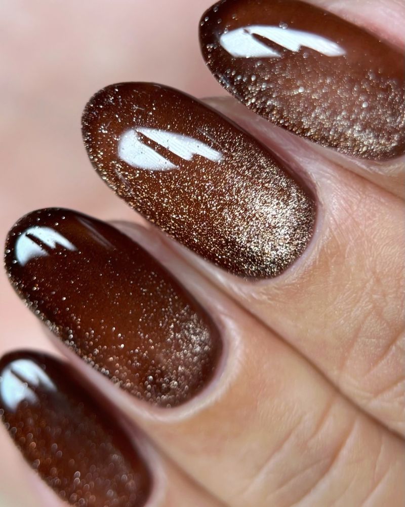 Deep Brown Cat-Eye Oval Nails Deep Brown Cat-Eye Oval Nails — Chocolate Nails