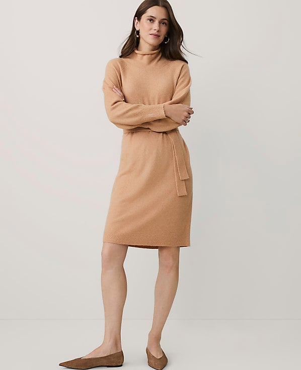 Camel Turtleneck Fine Knit Dress Camel Turtleneck Fine Knit Dress — Dress with Sleeves