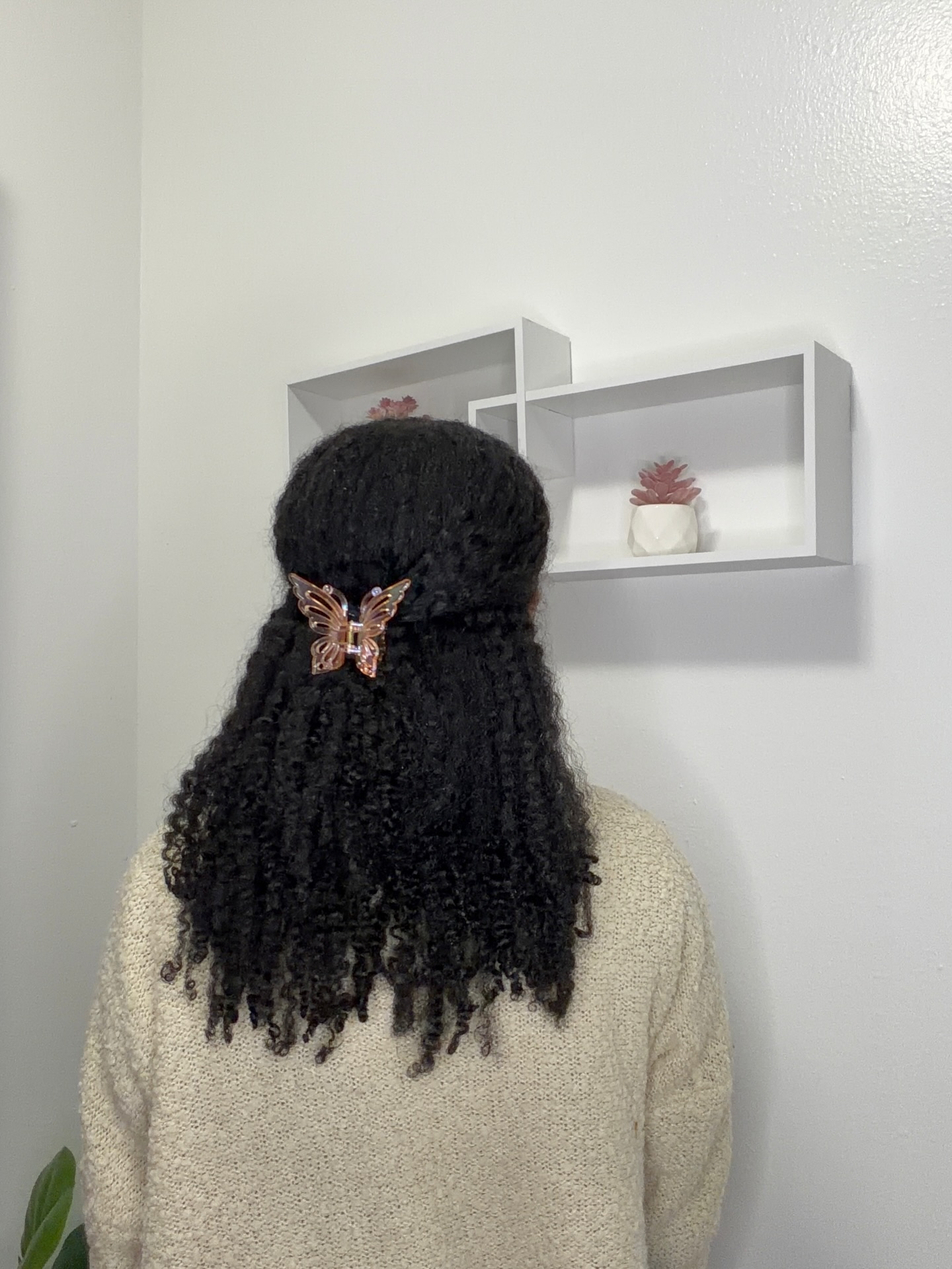 Elegant Butterfly Clip Half-Up Curly Hairstyle