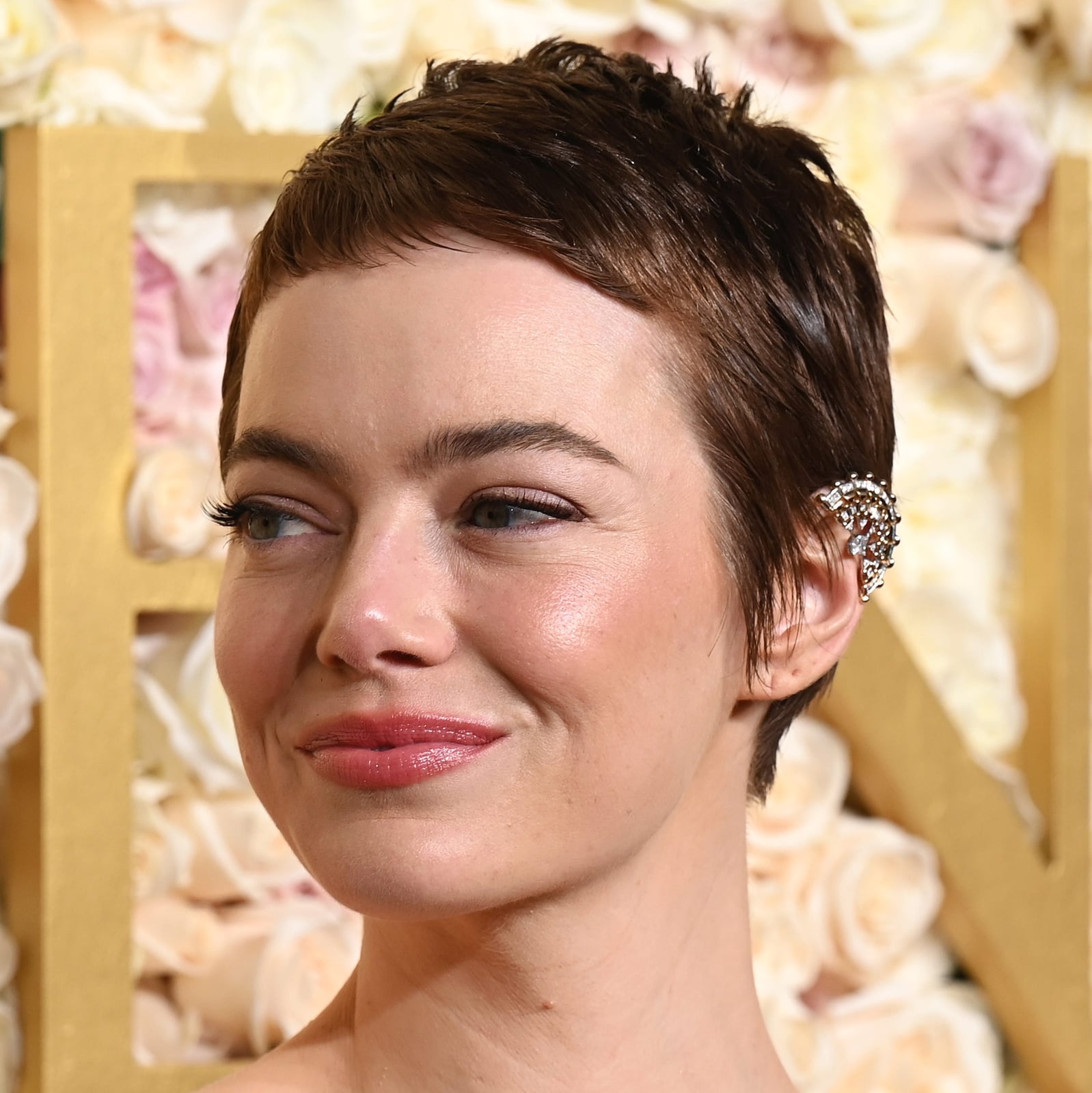 Light Brown Pixie With Textured Crown Light Brown Pixie With Textured Crown — Girl Pixie