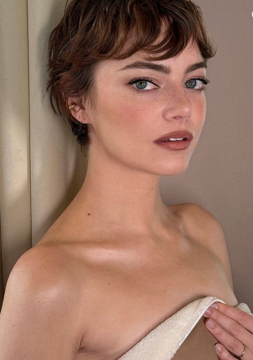 Light Brown Pixie With Piecey Fringe Light Brown Pixie With Piecey Fringe — Girl Pixie